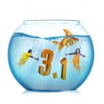 Moodle-3.1